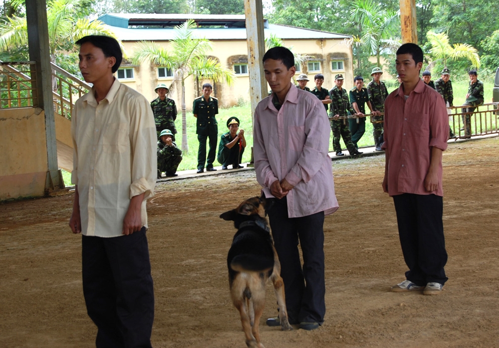 Chó nghiệp vụ hít mùi nhận biết các đối tượng điều tra.